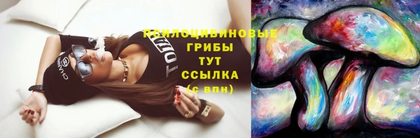 прущая мука Аркадак