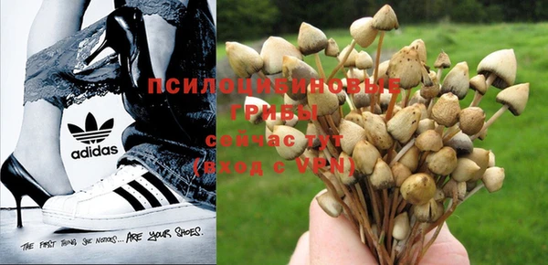 спайс Арсеньев