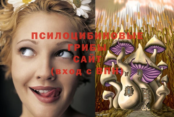 крисы Армянск
