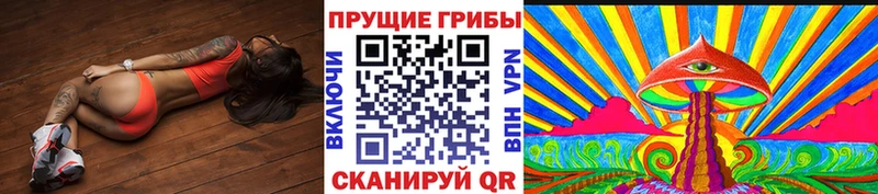 где купить   Озёры  Галлюциногенные грибы Psilocybine cubensis 