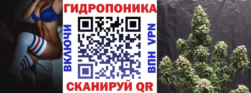 Канабис ГИДРОПОН  блэк спрут сайт  Озёры 